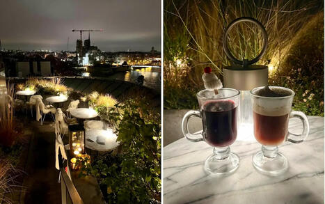 Le toit du plus ancien restaurant de Paris se transforme en jardin d’hiver éphémère – | FLEurons de France | Scoop.it