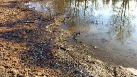 Nouvelle vague de pollution aux hydrocarbures dans la Loire près d'Orléans | water news | Scoop.it