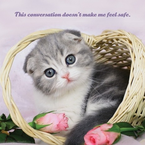 2015 Social Justice Kittens Calendar | Dare To Be A Feminist | Scoop.it