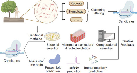 Engineering a New Generation of Gene Editors: I...