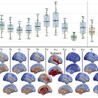 NeuroImmunology