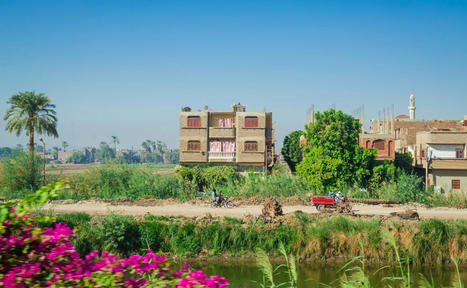 The Culinary Heritage of Rural EGYPT and its Historic Roots | CIHEAM Press Review | Scoop.it