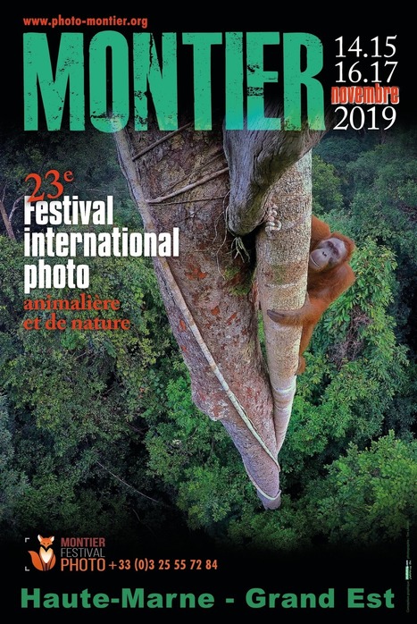 Montier 2019 : 23e festival international de la photographie animalière et de nature | Variétés entomologiques | Scoop.it