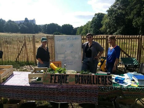Ces maraîchers cultivent des légumes bio au cœur du quartier sensible des Dervallières, à Nantes | L'actualité des quartiers politique de la ville de Bretagne et Pays de la Loire | Scoop.it