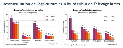 Les chiffres clés du Recensement agricole 2020 | Lait de Normandie... et d'ailleurs | Scoop.it