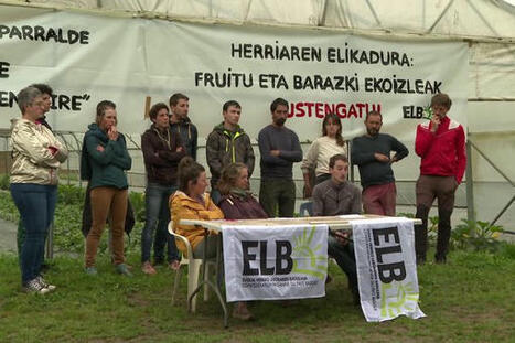 "On importe 80 % des fruits et légumes" : des maraîchers appellent à soutenir la filière au Pays basque | BABinfo Pays Basque | Scoop.it
