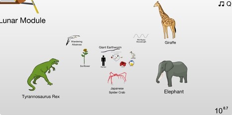 The Scale of the Universe 2 | Intelligences Multiples | Scoop.it