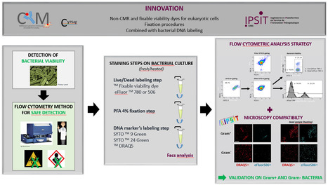 FOCUS PLATEFORME : CYM, plateforme de cytométrie en flux, développe une nouvelle méthode de suivi de la viabilité des bactéries | Life Sciences Université Paris-Saclay | Scoop.it