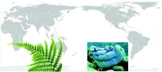 Natural products discovery needs improved taxonomic and geographic information - Natural Product Reports (RSC Publishing) | Natural Products Chemistry Breaking News | Scoop.it