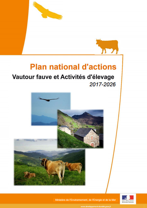 Consultation publique sur le Projet de Plan national d’actions « Vautour fauve et activités d’élevage »  | Biodiversité | Scoop.it