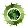 Ethique environnementale