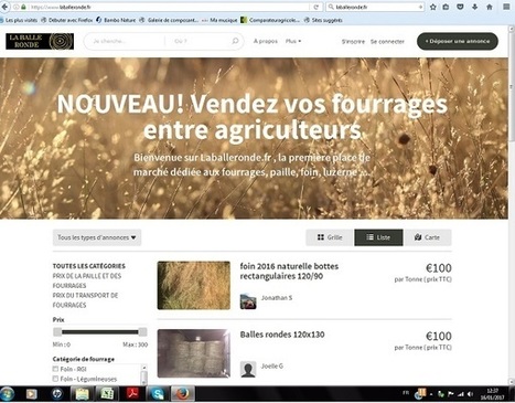 Laballeronde.fr, nouvelle place de marché en ligne dédiée au commerce de fourrages et de paille | Lait de Normandie... et d'ailleurs | Scoop.it