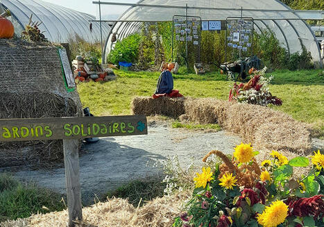Un terrain agricole communal productif et solidaire &agrave; Lanvallay (22) | Environnement | Scoop.it