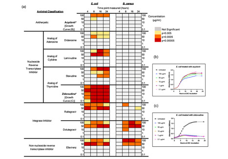 Bacteria Exposed to Antiviral Drugs Develop Antibiotic Cross-Resistance and Unique Resistance Profiles  | Virus World | Scoop.it