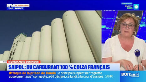 Normandie Business du mardi 3 juin - Saipol : du carburant 100 % colza français | ITERG - Veille sectorielle | Scoop.it