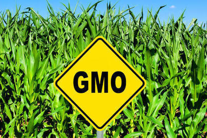 Legal War Over New GMO Weed Killer System Commences As NRDC Sues To Block Enlist Duo | Genetic Engineering in the Press by GEG | Scoop.it