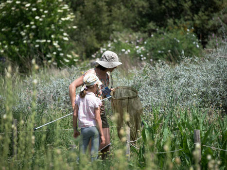 47 nouveaux projets d’Atlas de la biodiversité communale soutenus par l’OFB, une mobilisation exceptionnelle | Biodiversité | Scoop.it