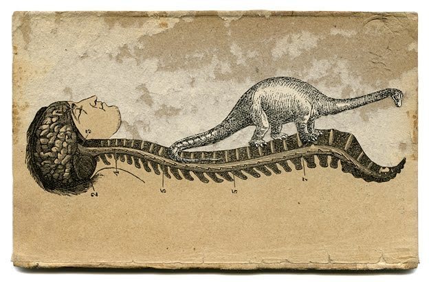 Todos los dinosaurios roncan, por Ivonne Vecian...
