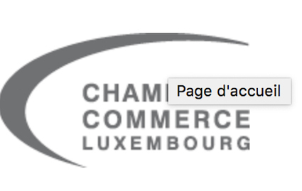 Chamber of Commerce Calls for a Comprehensive Review of Education System | #Luxembourg #Europe | Luxembourg (Europe) | Scoop.it