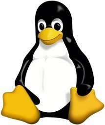 Babies Named Linux? | Name News | Scoop.it