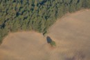 Hasta EUA considera errada la política forestal de México | Activismo en la RED | Scoop.it