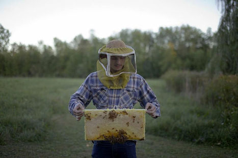 Surdose mondiale de pesticides | EntomoNews | Scoop.it