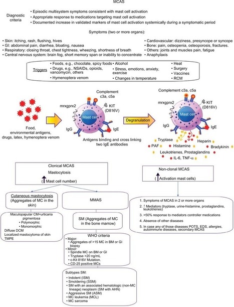 Anaphylaxis in the 21st century: phenotypes, endotypes, and biomarkers | Allergy (and clinical immunology) | Scoop.it