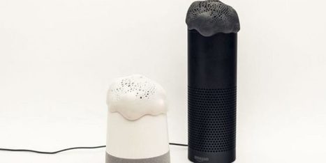 Un parasite connecté pour Google Home et Amazon Alexa | Toulouse networks | Scoop.it