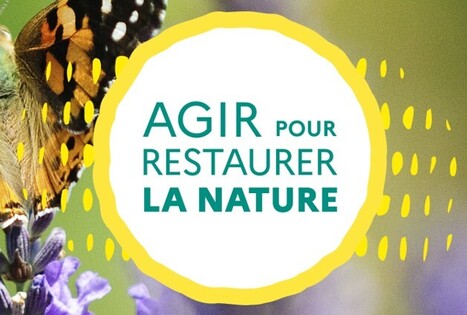 Concertation continue "Agir pour restaurer la nature" | Sport, mer et littoral | Scoop.it