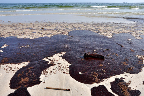 Study: Oil-Eating Bacteria Mitigated Deepwater Horizon Oil Spill | Pollution accidentelle des eaux (+ d&eacute;chets plastiques) | Scoop.it