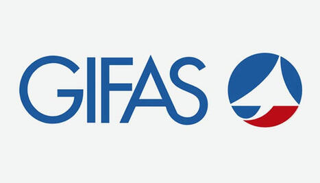 GIFAS : Résultats 2024 | AERONAUTIQUE NEWS - AEROSPACE POINTOFVIEW - AVIONS - AIRCRAFT | Scoop.it
