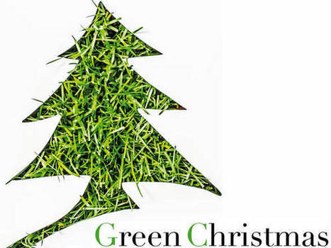 Ecco il decalogo 'Green' per Natale e Capodanno | Consumo Critico, Decrescita, Riuso e Riciclo Creativo | Scoop.it
