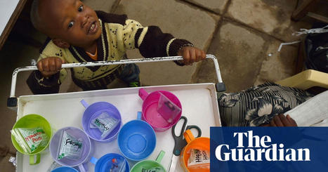 Increase funding or abandon hope of ending malaria, TB and Aids, UK warned | Global Fund to Fight Aids, Tuberculosis and Malaria | The Guardian | International Economics: IB Economics | Scoop.it