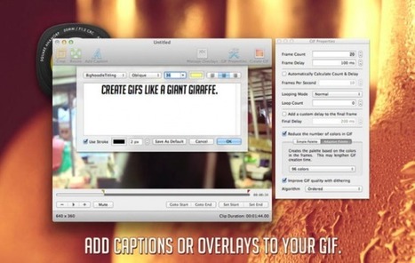 12 Tools For Creating And Discovering GIFs | Digital Delights - Images & Design | Scoop.it