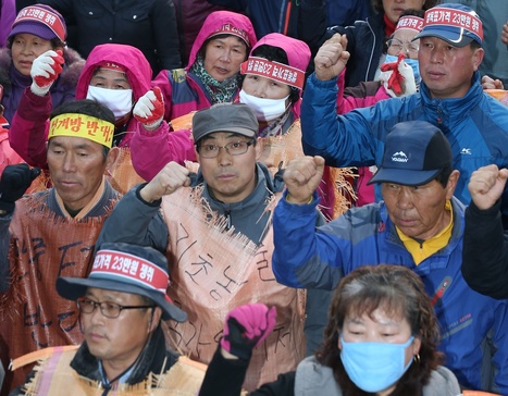 South Korean : Storm in a Rice Bowl | Questions de développement ... | Scoop.it