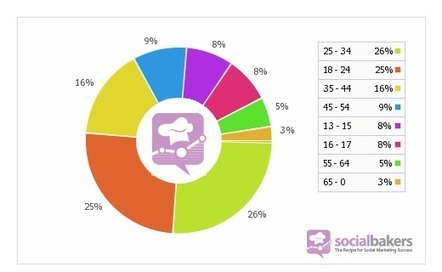 Facebook France: Quelques chiffres | Collectivit&eacute;s territoriales et m&eacute;dias sociaux : | Scoop.it