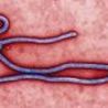 Ebola Outbreak 2014