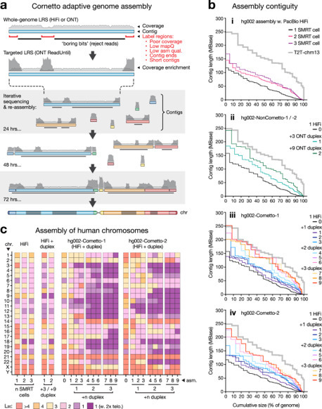 Targeted sequencing and iterative assembly of near-complete genomes | Ncm | RMH | Scoop.it