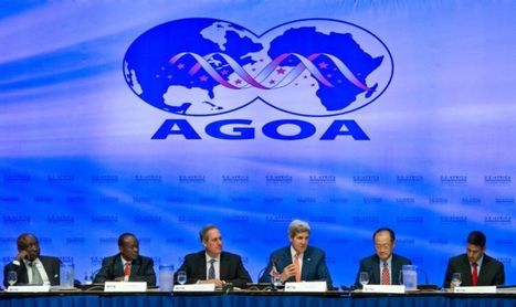 Forum AGOA: le commerce entre les Etats-Unis et l&rsquo;Afrique au sommet | L'ECHO DEMETER | Scoop.it