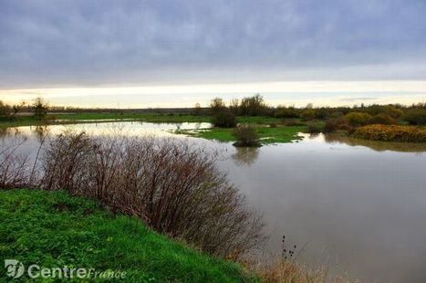 À la découverte de l'Allier, une rivière voyageuse qui a modifié sans cesse son cours | Biodiversité | Scoop.it