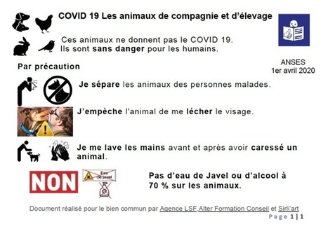 Documents en FALC de l'ANSES : l'alimentation et les animaux face au Covid-19 | Savoirs de base, Illettrisme, Illectronisme et int&eacute;gration par l'acc&egrave;s &agrave; la langue | Scoop.it