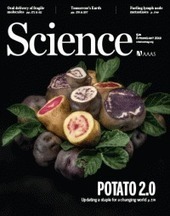 The new potato | SCIENCES DU VEGETAL | Scoop.it