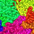 A new view of DNA | Amazing Science | Scoop.it