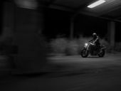 Benny Gold Video with Monster Cameo | Ducati Community | Ductalk: What's Up In The World Of Ducati | Scoop.it