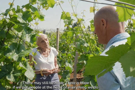 [vitisphere.com] "Le vin tel que nous l’aimons risque de disparaître avant la fin du siècle" | l'actuvin | Scoop.it