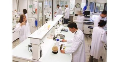 Givaudan veut racheter la p&eacute;pite fran&ccedil;aise des ingr&eacute;dients Naturex pour 1,3 milliard d'euros - L'Usine Agro | Ar&ocirc;mes, parfums, cosm&eacute;tologie | Scoop.it