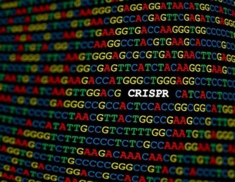 Cas13d-NCS: A game-changer in RNA virus defense | Genetic Engineering in the Press by GEG | Scoop.it