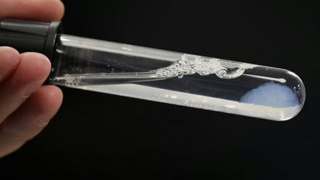 Bioprinted mini pancreas will help in the fight against diabetes | Daily realities of diabetic patients | Scoop.it