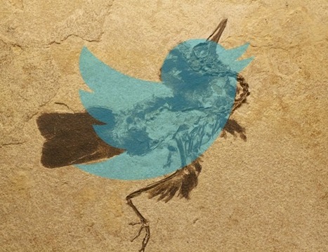 Ce que r&eacute;v&egrave;lent les fossiles de nos tweets | Innovation & Technology | Scoop.it