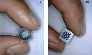 A Microsyringe to Take the Pain out of Shots | Science News | Scoop.it